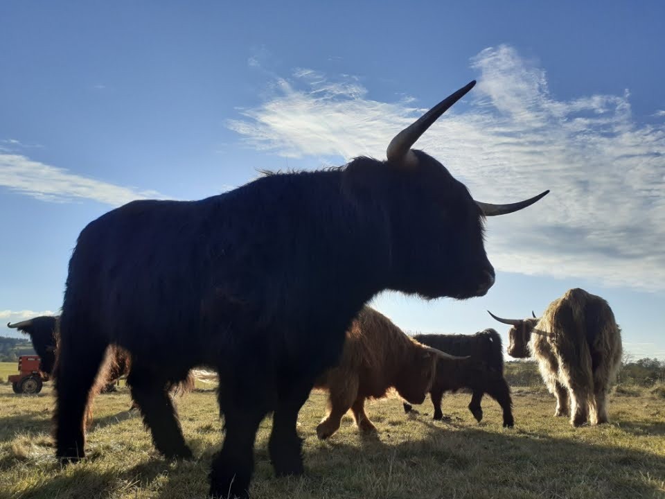 On profite de l'été indien en novembre