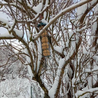 Pour observer les oiseaux de votre fenêtre