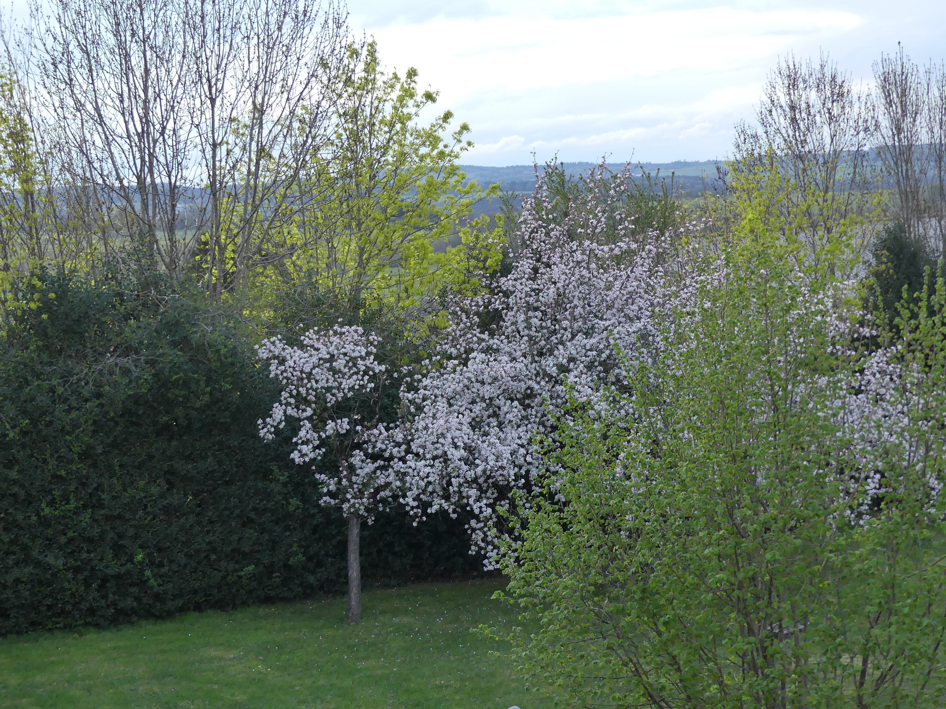 Vue de l'étage au printemps