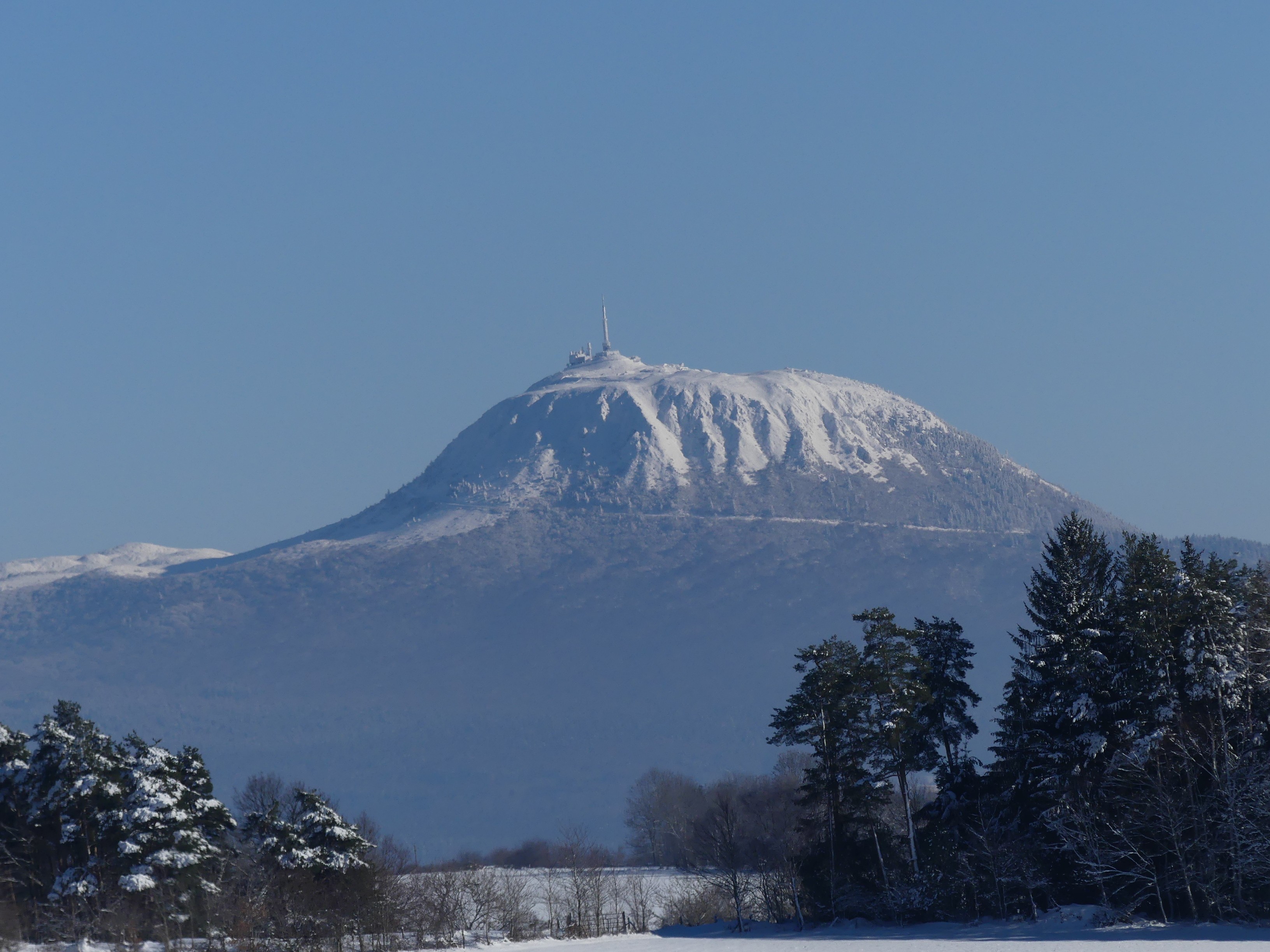 Majestueux avec son beau manteau blanc