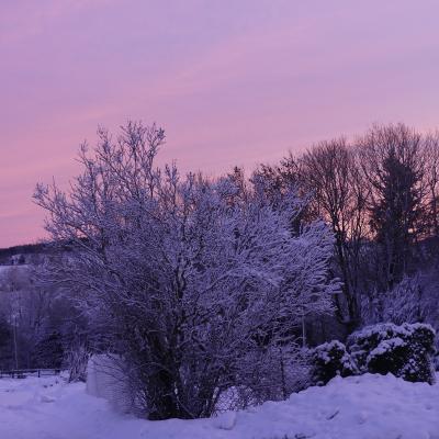 Vue de votre fenêtre au levé du soleil