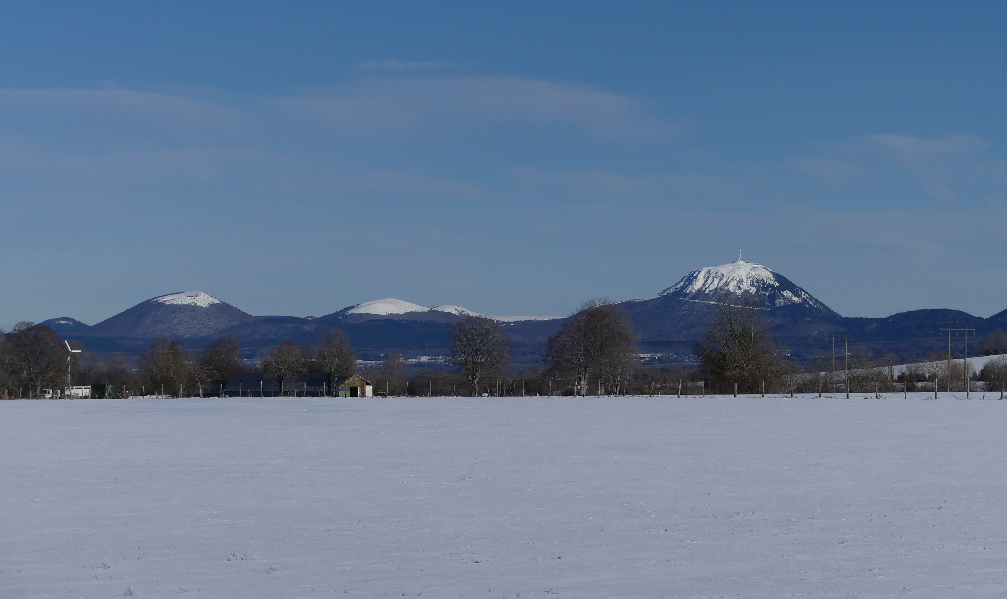 Vue du pâturage, elles en ont de la chance nos belles aux longs poils