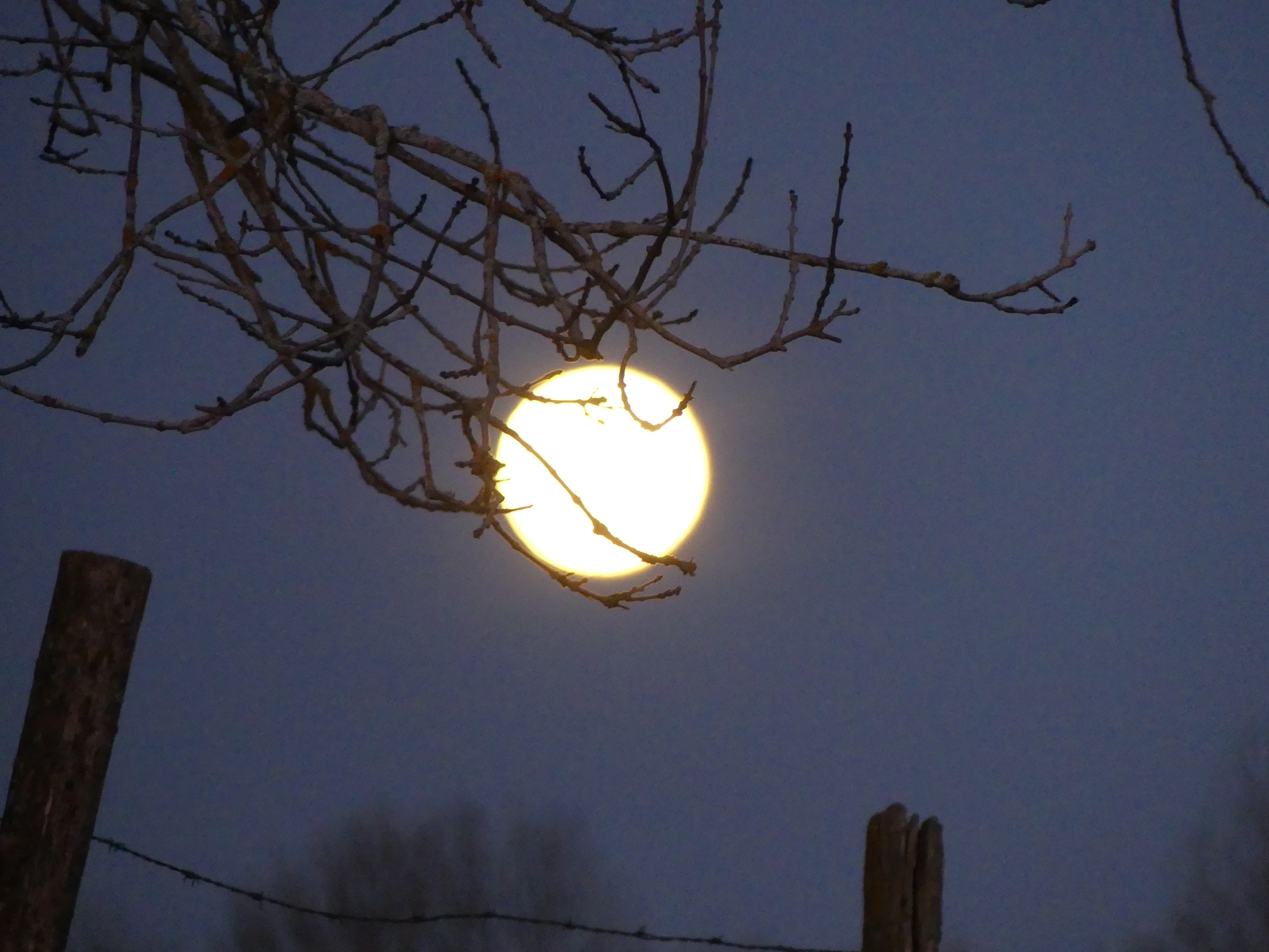 La Lune est belle n'est-ce pas...