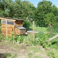 Le parc à poules 