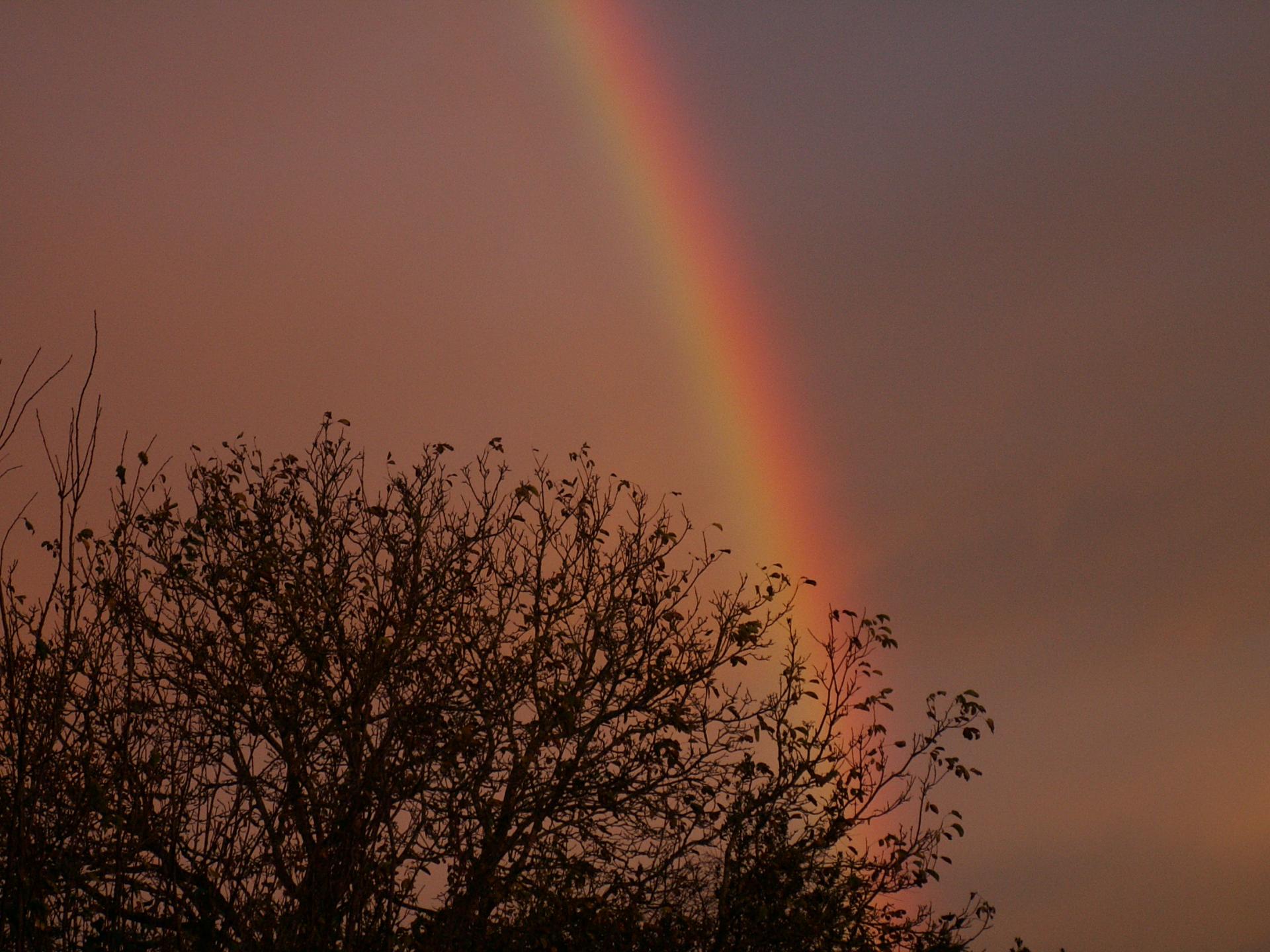 Ciel d'automne