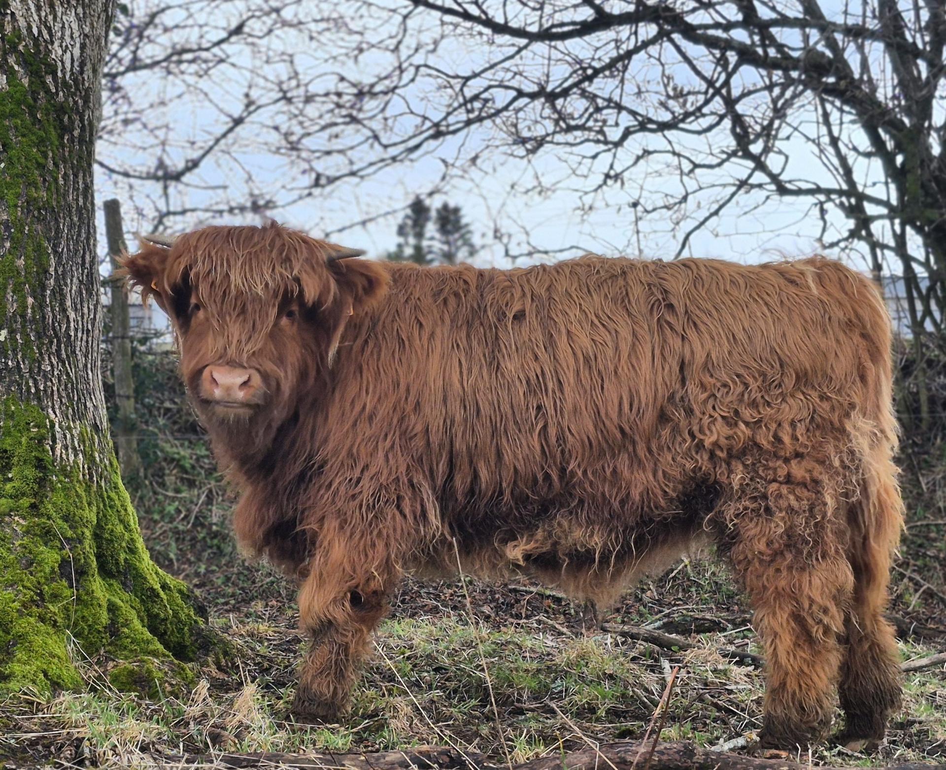 Atlas Des Grands Champs