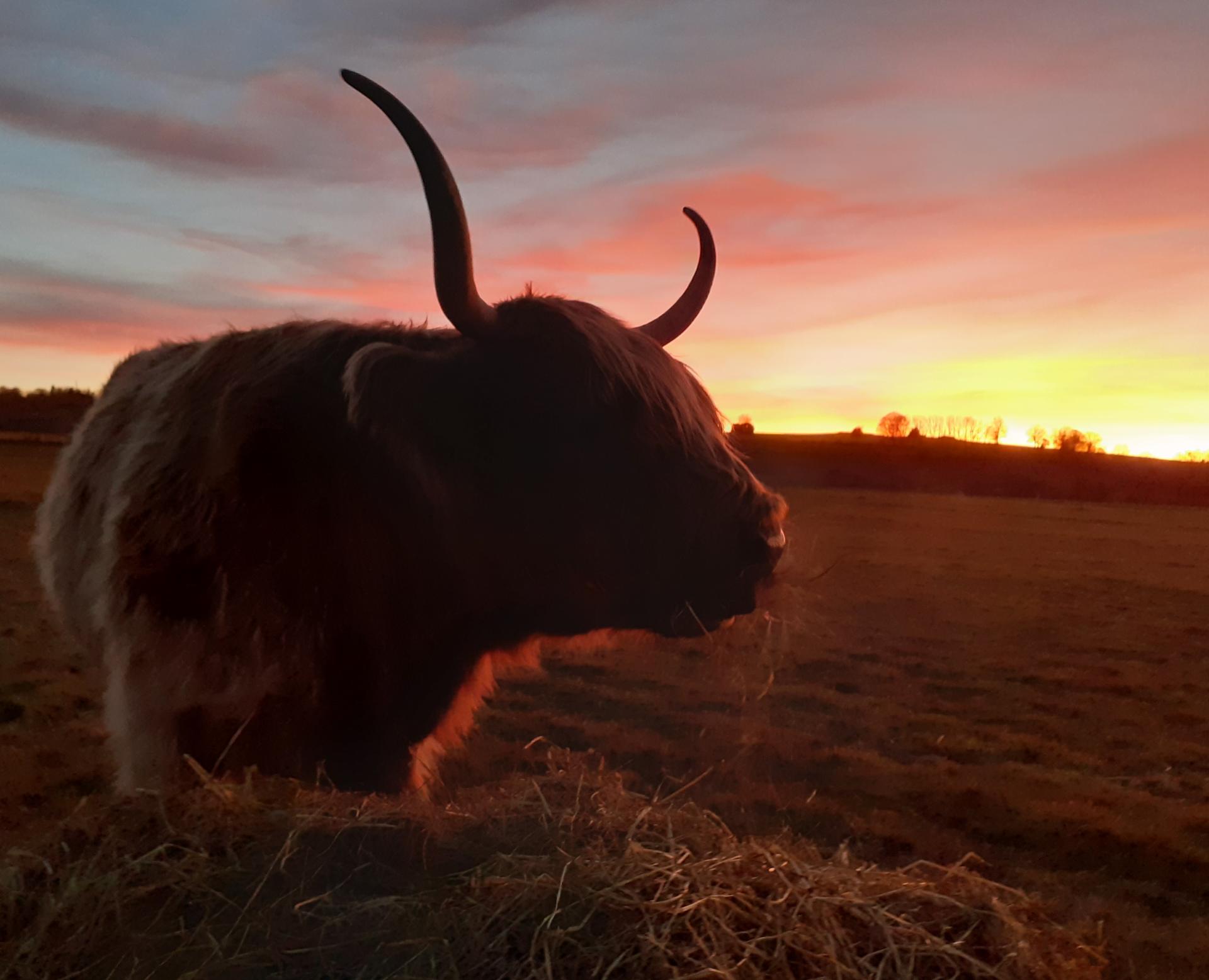 Couché de soleil aux Grands Champs