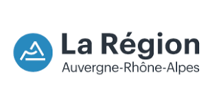 Logo region