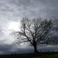 Pour ne pas passer à côté de la beauté cachée