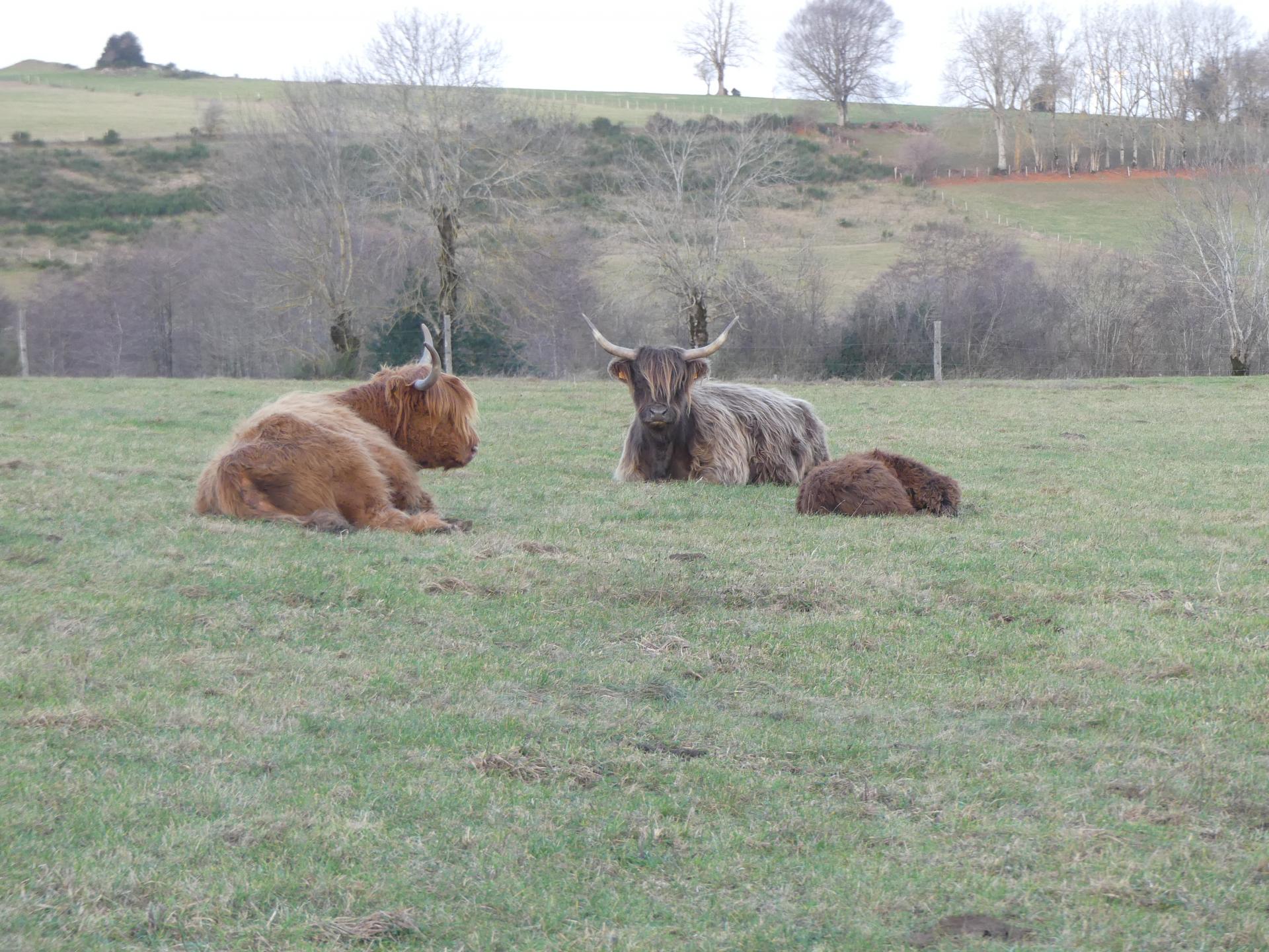 C'est l'heure de la sieste