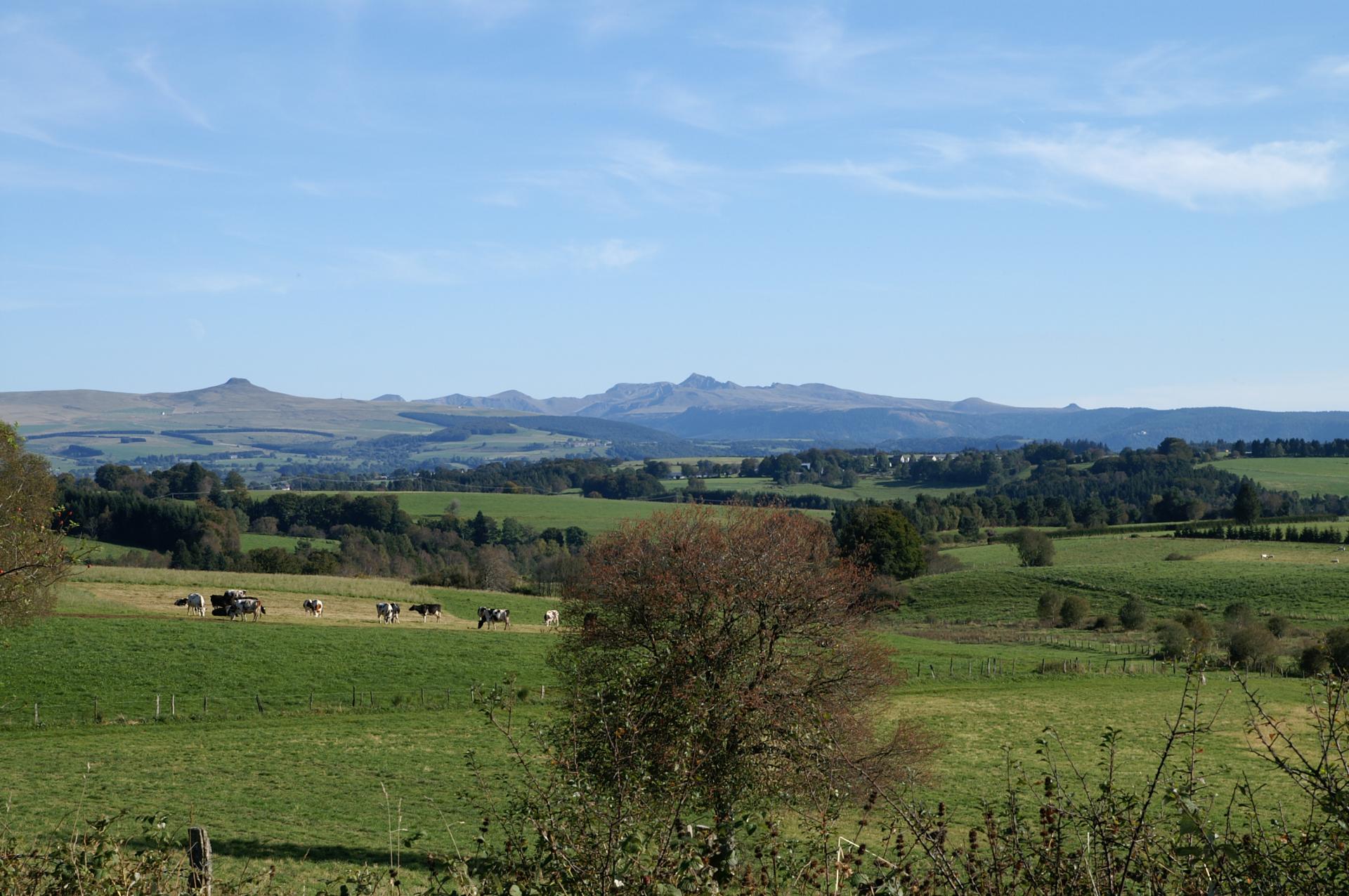 Banne d'Ordanche et Sancy