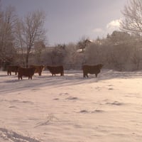 Bain de soleil en hiver