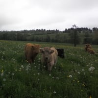 Mélia et Maya qui ont le statut de maman aujourd'hui!